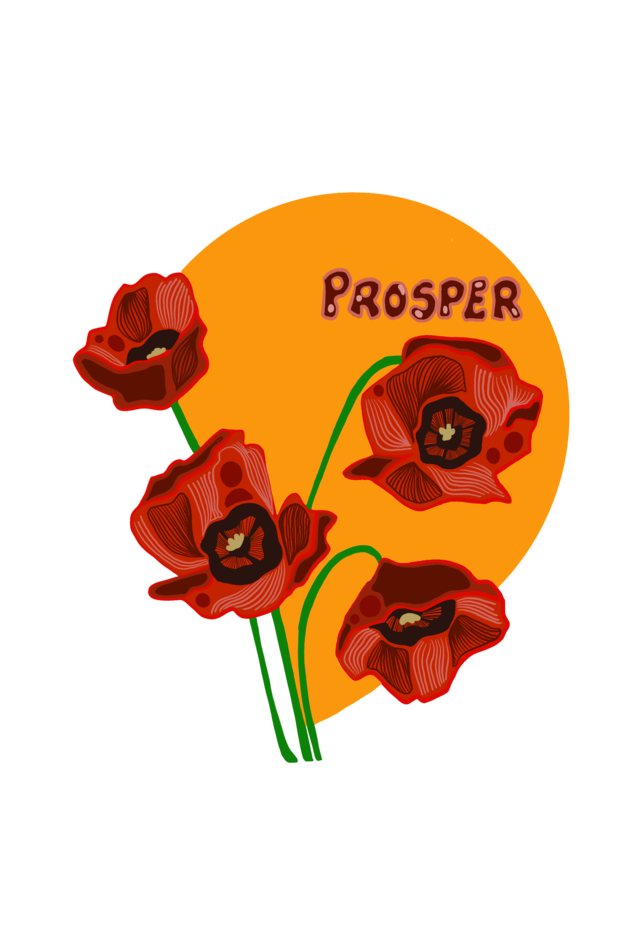 Poppy Prosper Women's Supima T-shirt